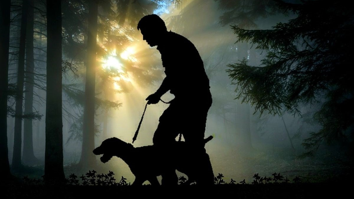 Illustration : "Perdus dans les bois par temps glacial, un chien en fugue et son maître déclenchent l’intervention des pompiers"
