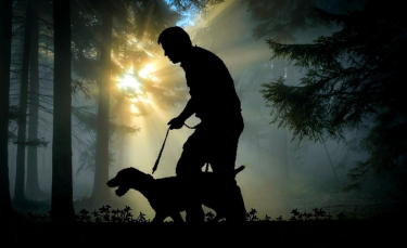 Illustration : "Perdus dans les bois par temps glacial, un chien en fugue et son maître déclenchent l’intervention des pompiers"
