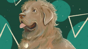Illustration : 20 illustrations représentant des animaux de compagnie qui sont une source de joie