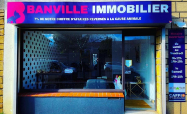 Illustration : "La première agence immobilière solidaire de la cause animale décide de reverser 7 % de son chiffre d'affaires annuel à des associations"