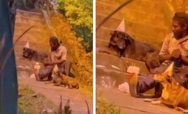 Illustration : "Un passant filme une scène touchante où un sans-abri organise une fête d'anniversaire pour son chien "