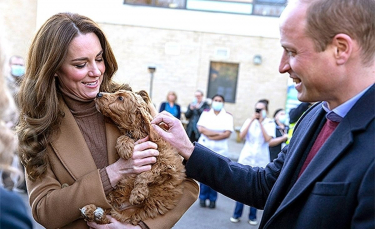 Illustration : "Le prince William et sa femme Kate tombent sous le charme d'un chien de thérapie pendant une visite royale"