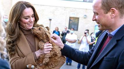 Illustration : Le prince William et sa femme Kate tombent sous le charme d'un chien de thérapie pendant une visite royale