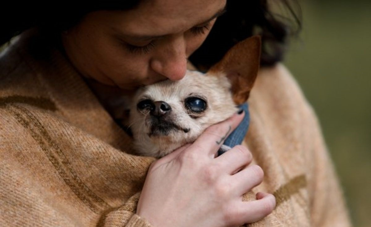 Illustration : "Une photographe offre des séances photo émouvantes aux propriétaires et leurs animaux de compagnie en fin de vie"