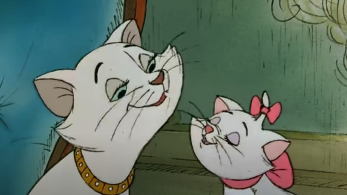 Vidéo. Disney prépare un remake des Aristochats… avec de vrais chats