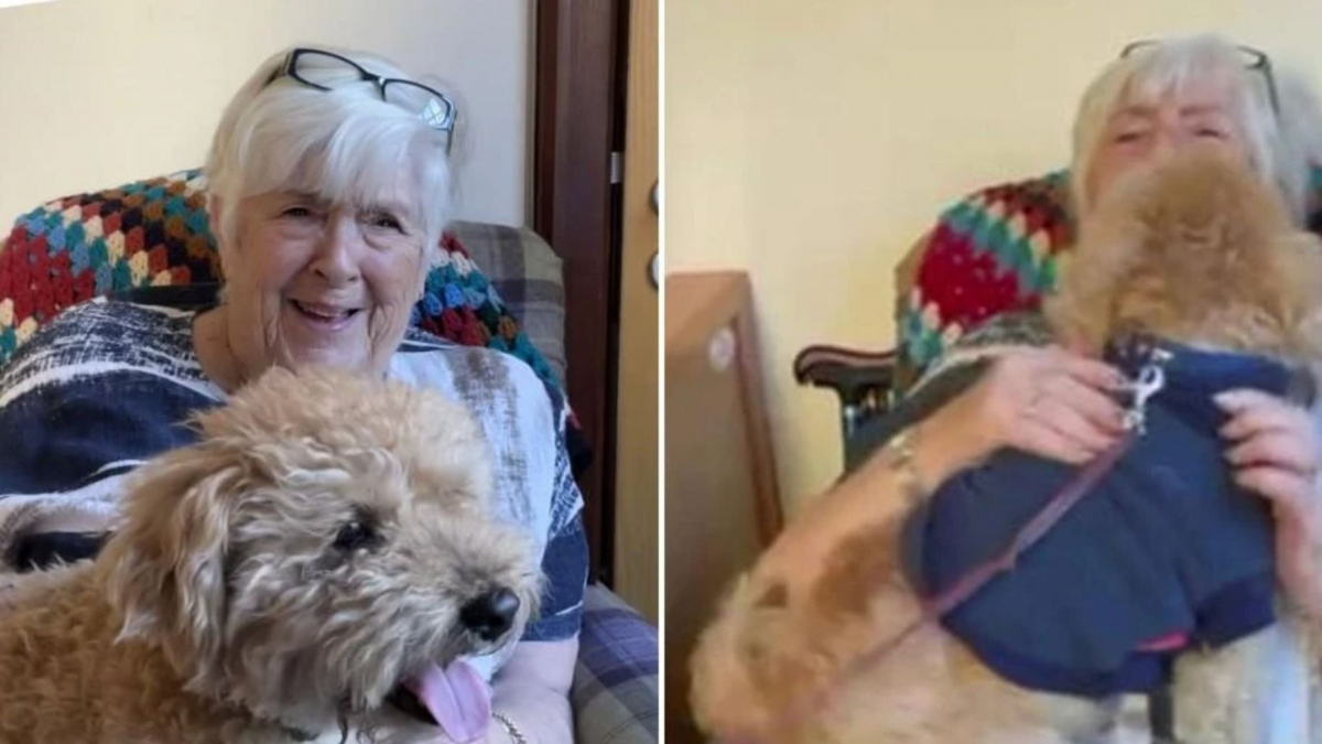 Illustration : "Une résidente d'une maison de retraite contrainte de se séparer de son chien reçoit un cadeau émouvant (vidéo)"