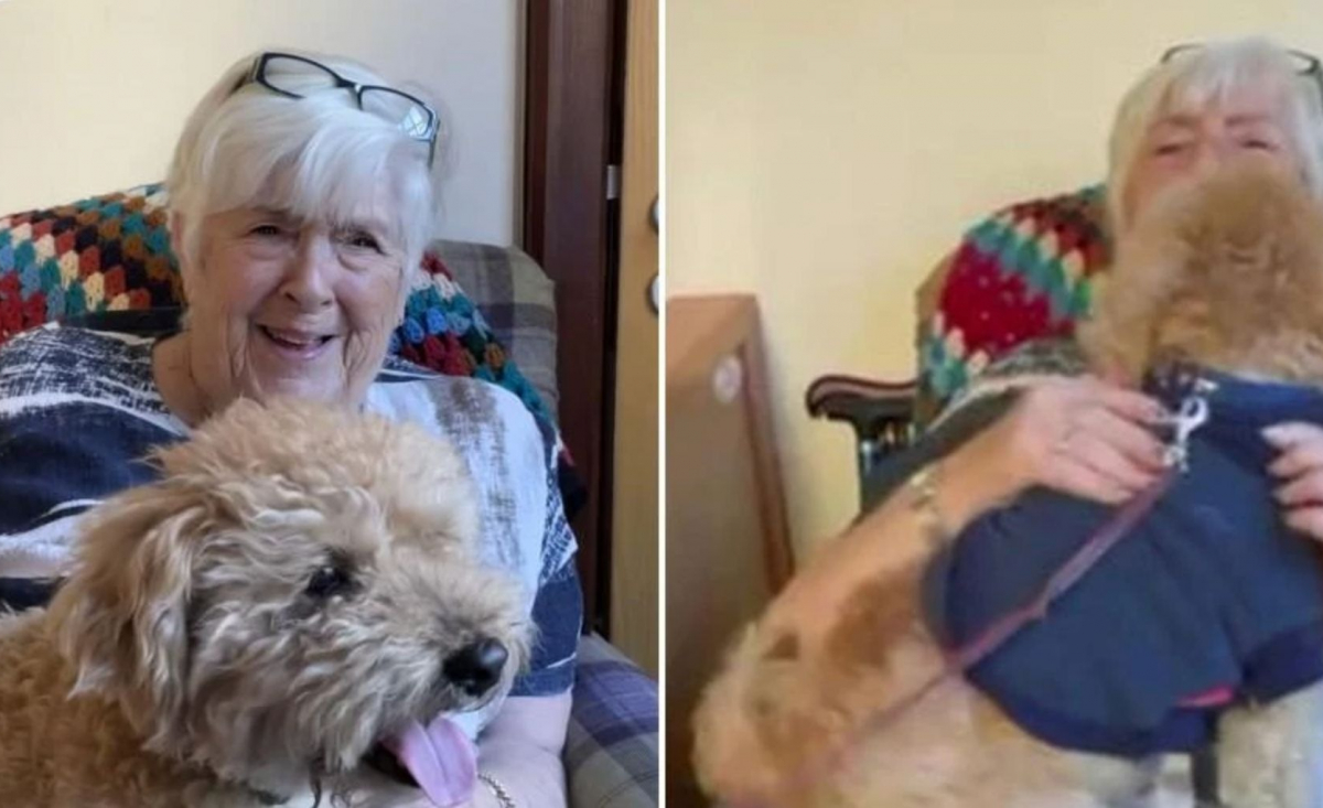 Illustration : "Une résidente d'une maison de retraite contrainte de se séparer de son chien reçoit un cadeau émouvant (vidéo)"