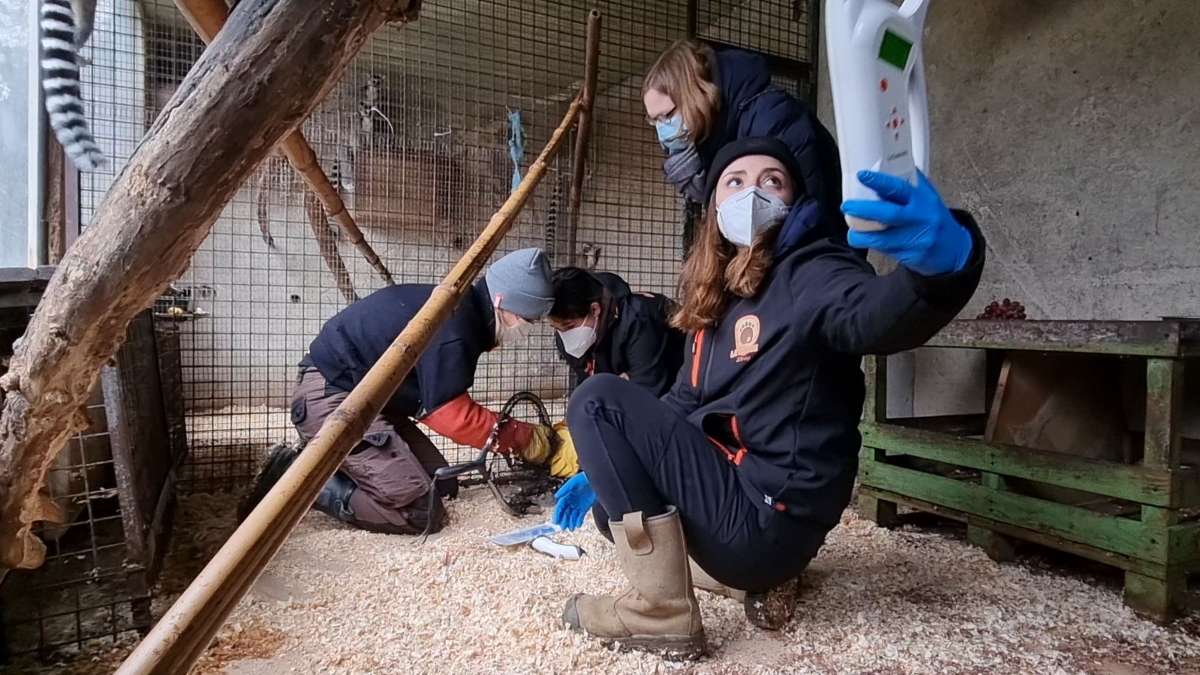 Illustration : "La Tanière participe à une opération de sauvetage d'envergure, 46 animaux sauvages sont saisis chez un particulier"