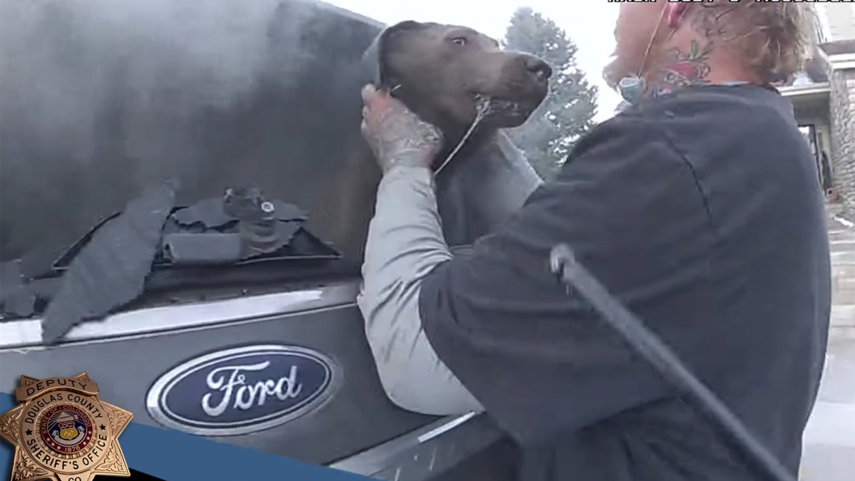Illustration : "Un policier se précipite vers une voiture en feu pour libérer un chien piégé à l'intérieur (vidéo)"