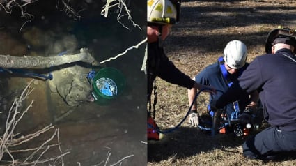 Illustration : 2 équipes de pompiers se mobilisent pour porter secours à une chienne coincée 5 mètres sous terre