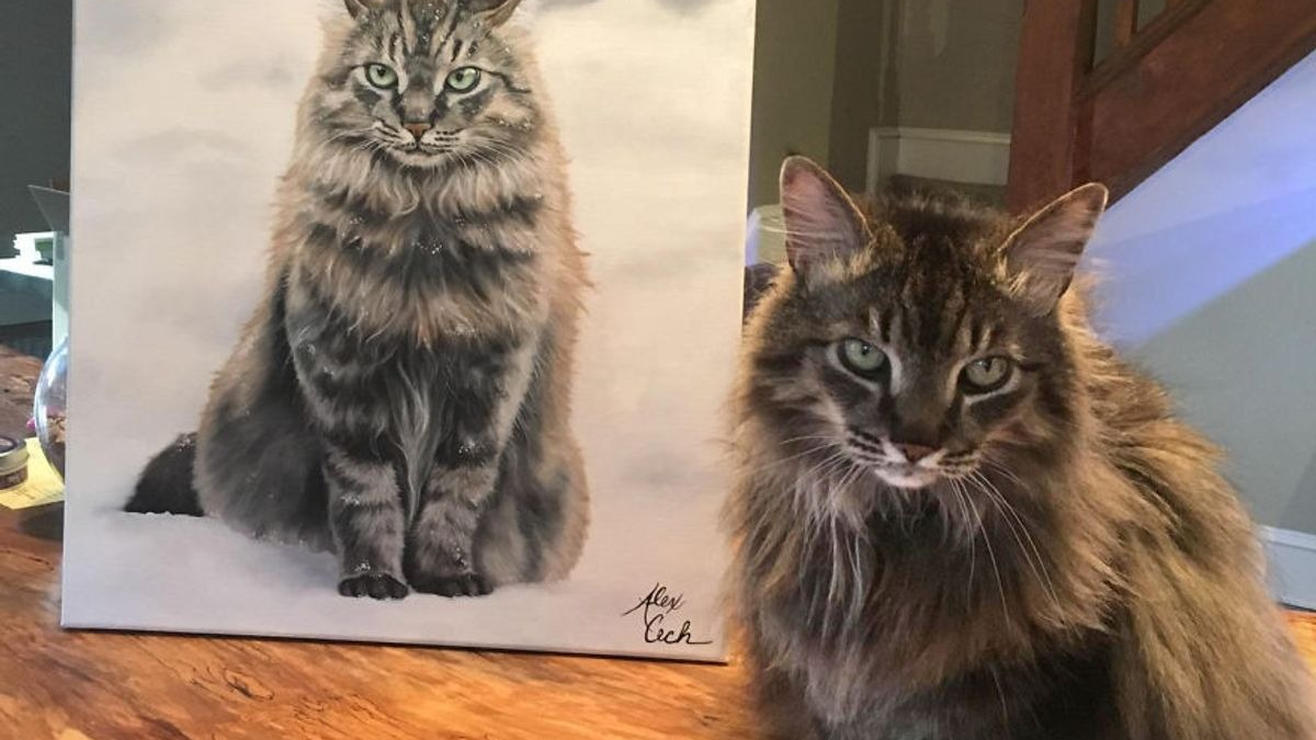 Illustration : "20 chats et chiens fiers de poser à côté de leur portrait"