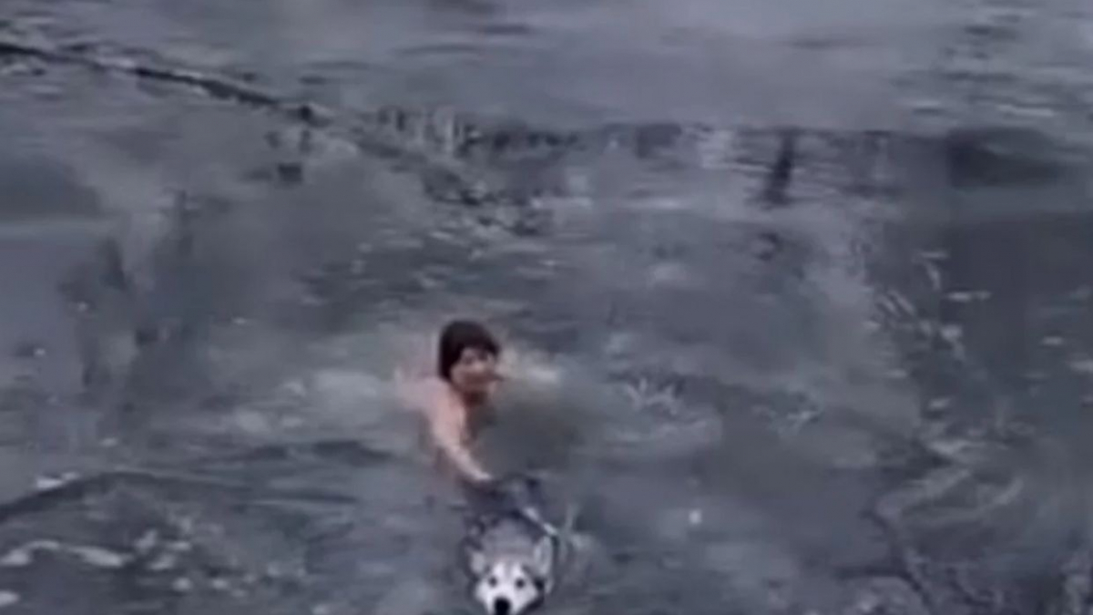 Illustration : "Une femme de 65 ans brave l'eau glacée d'une rivière en sous-vêtements pour sauver la vie d'un Husky (vidéo)"