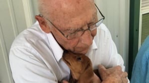 Illustration : 9 photos de chiens et de chats qui rempliront votre coeur de chaleur
