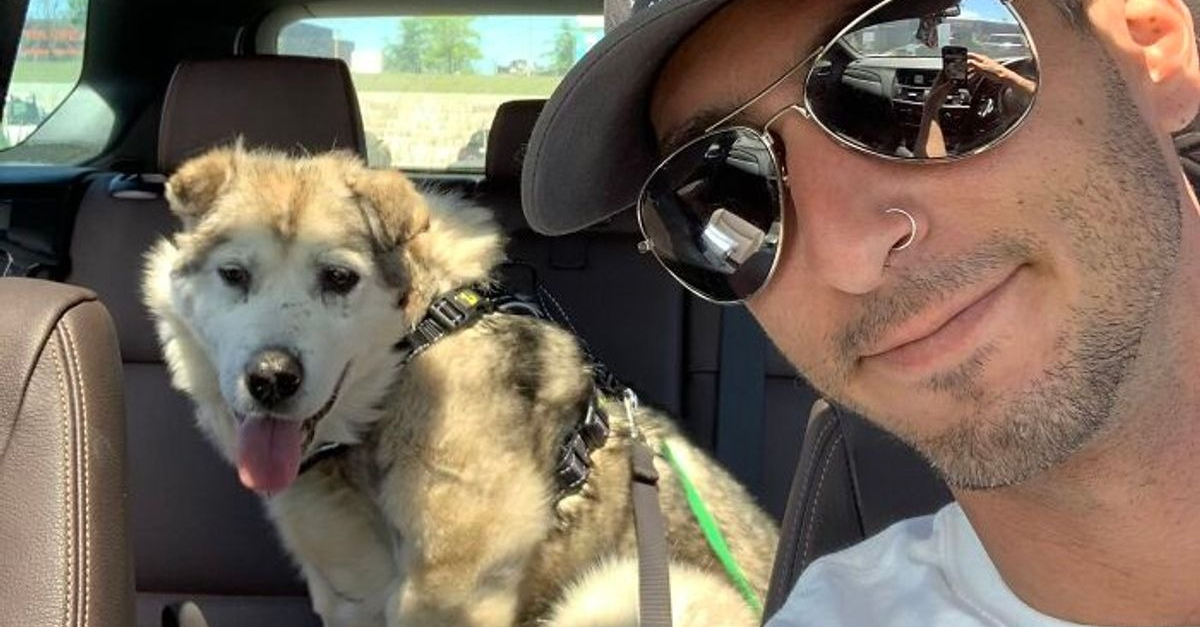 100% Free dating website for pets