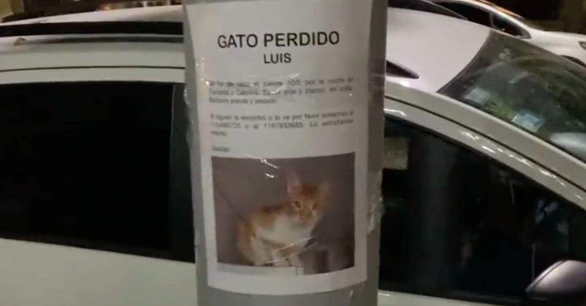 site de rencontre pour chat