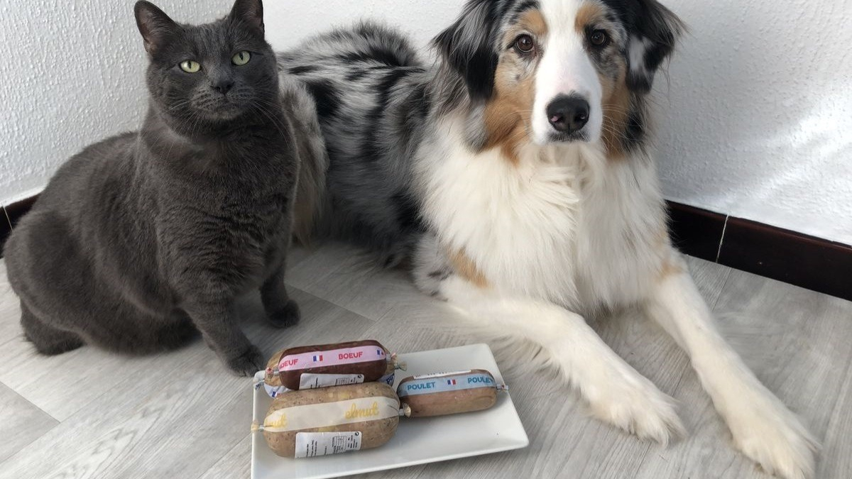 Illustration : "Notre chienne Oria et notre chat Souris ont testé les recettes personnalisées Elmut. Quel est leur verdict ?"