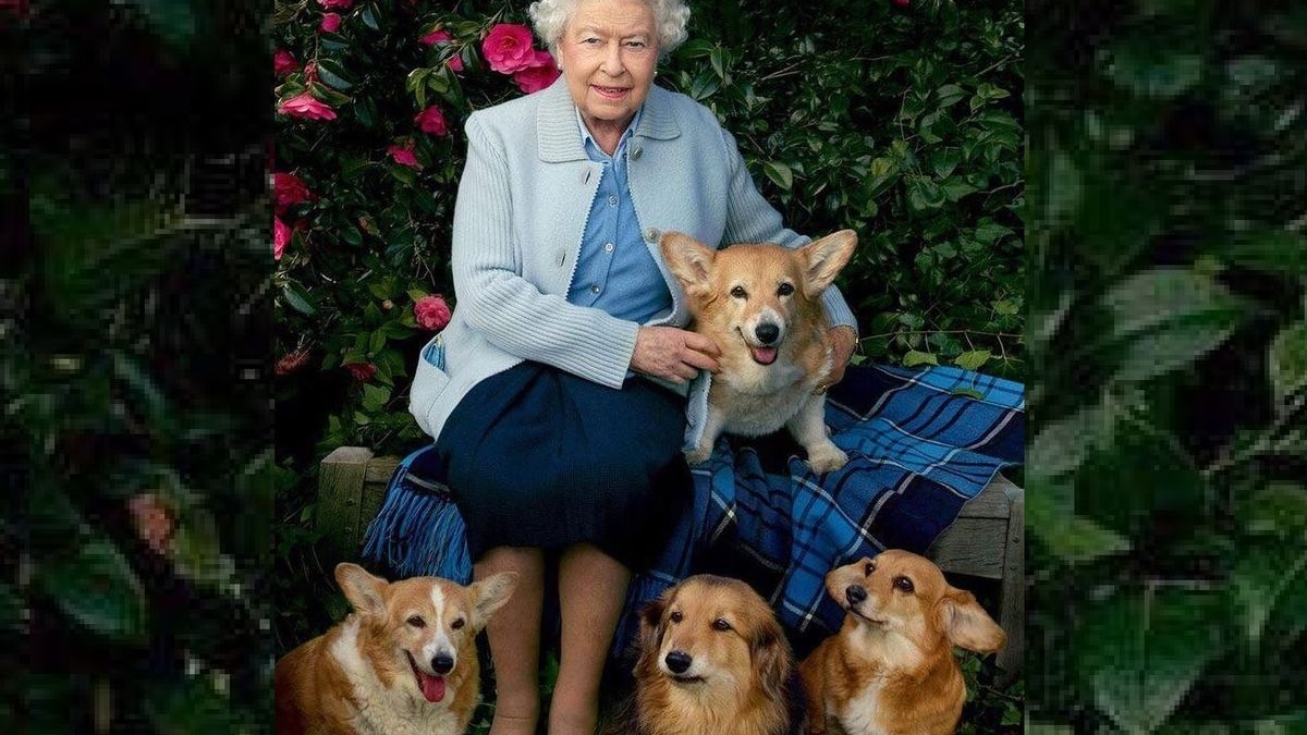 Illustration : "La reine Elizabeth II a lancé son premier parfum pour chien !"