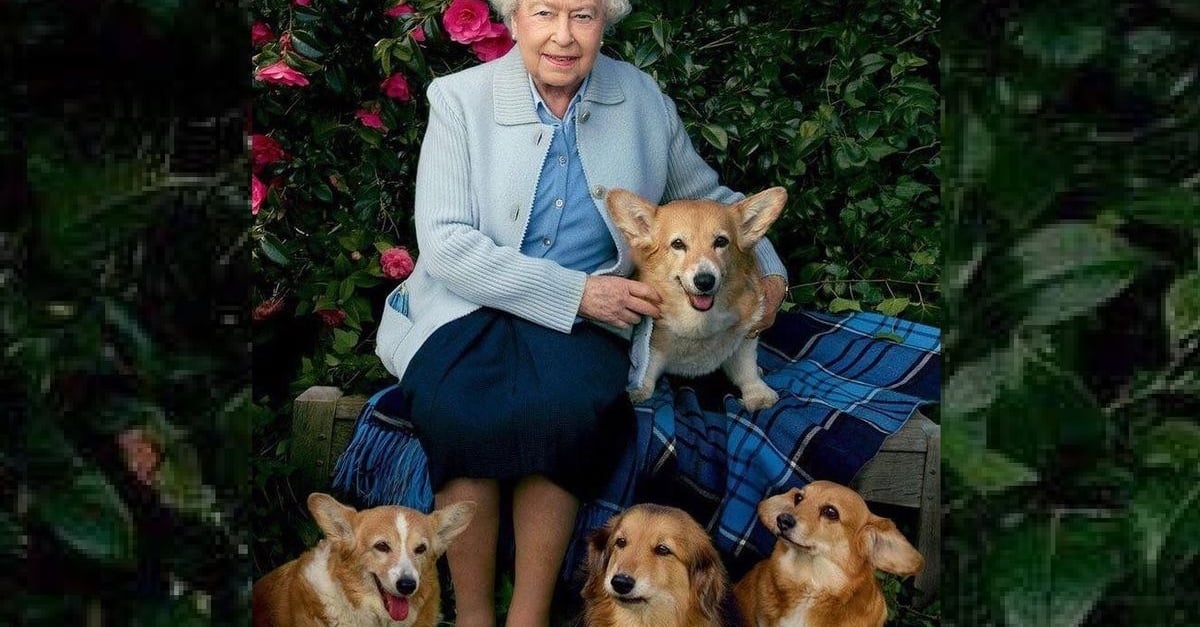 Élisabeth II La-reine-elizabeth-ii-a-lance-son-premier-parfum-pour-chien