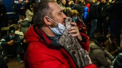 Illustration : Guerre en Ukraine : à Kiev, une femme de 74 ans brave le danger et le couvre-feu pour aller nourrir le chat de son fils
