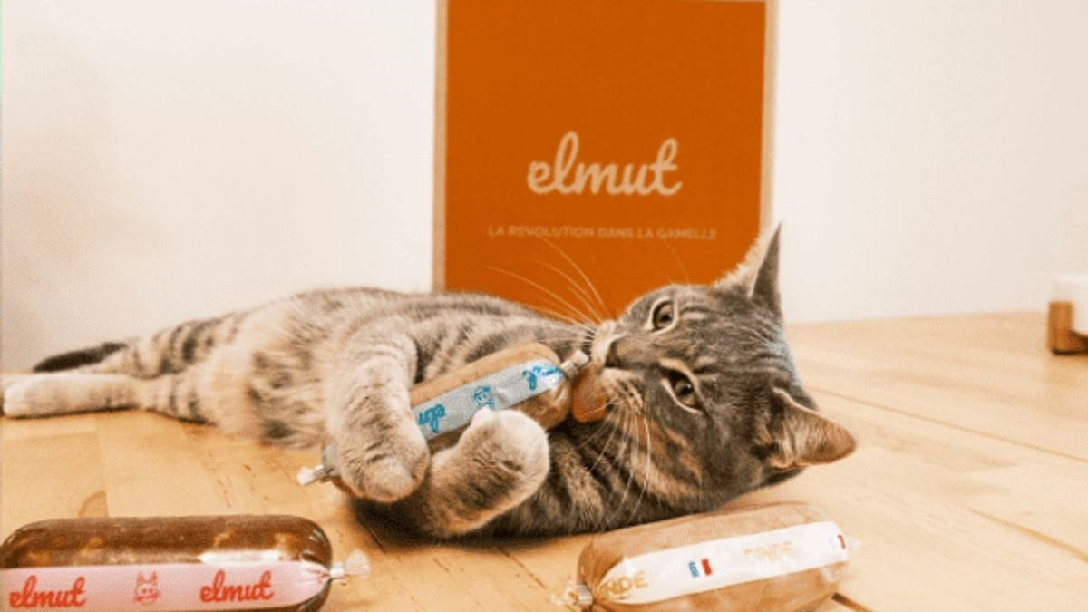 Illustration : "Elmut, les repas frais, personnalisés et livrés à domicile, c’est désormais aussi pour les chats !"