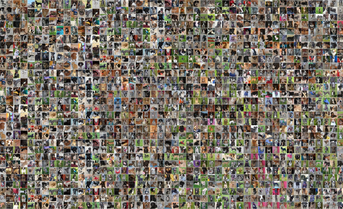 Illustration : "Une mère et sa fille partagent 1 700 portraits de chiens qu'elles ont sauvés depuis la création de leur association à domicile"