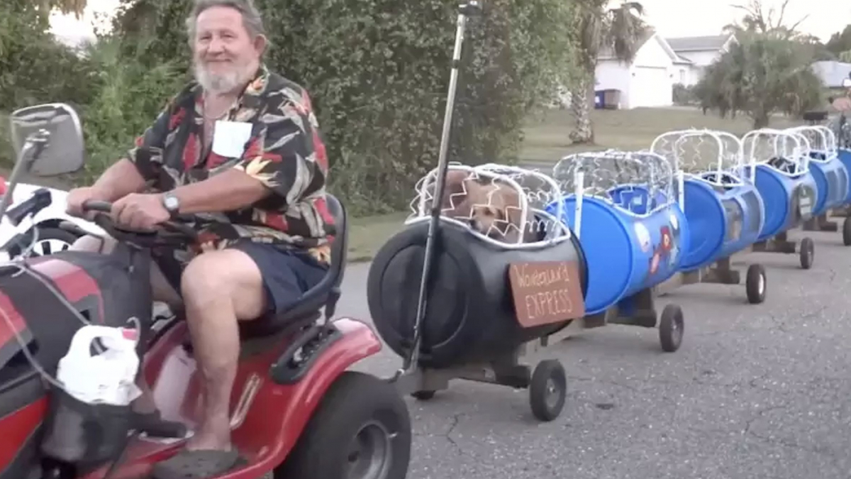 Illustration : "Un couple sauve une douzaine de chiens de la rue et construit un petit train pour les emmener en promenade ! (Vidéo)"