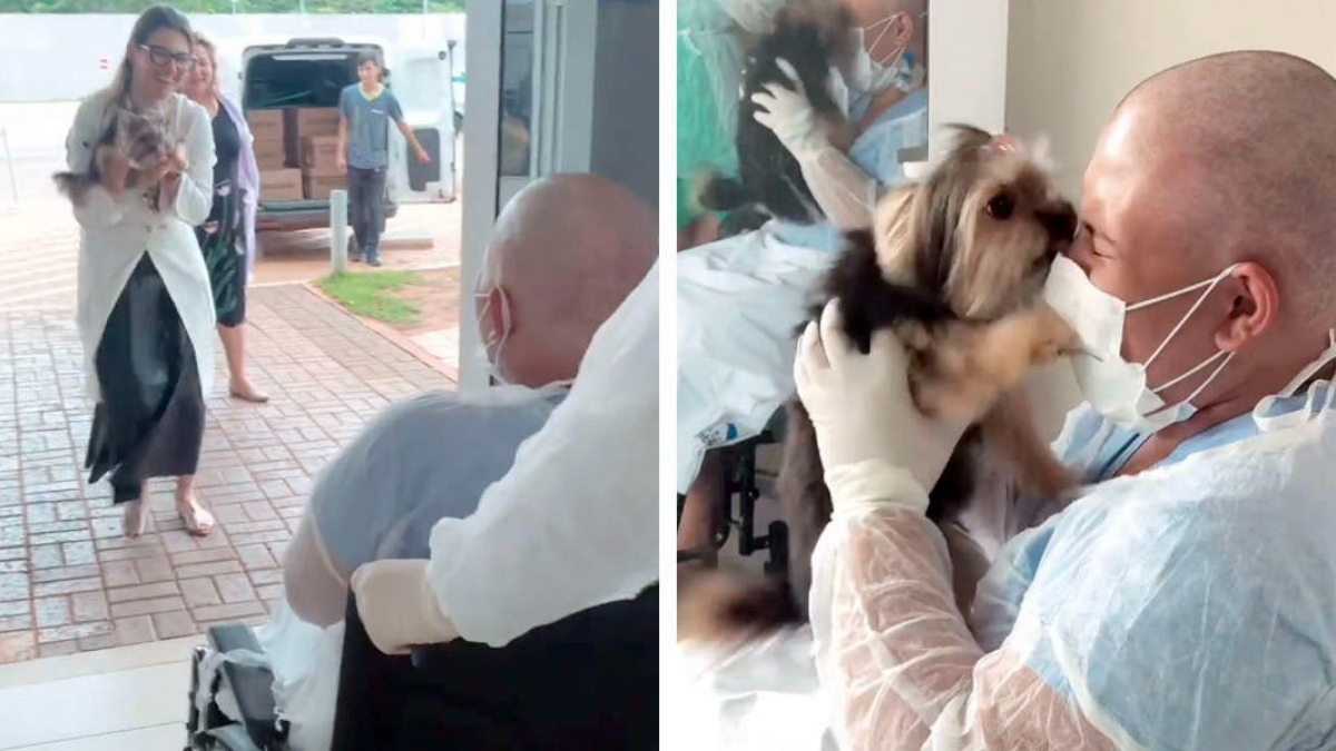 Illustration : "Séparée de sa chienne bien-aimée depuis un mois, cette patiente atteinte d'un cancer reçoit la plus merveilleuse des visites (vidéo)"