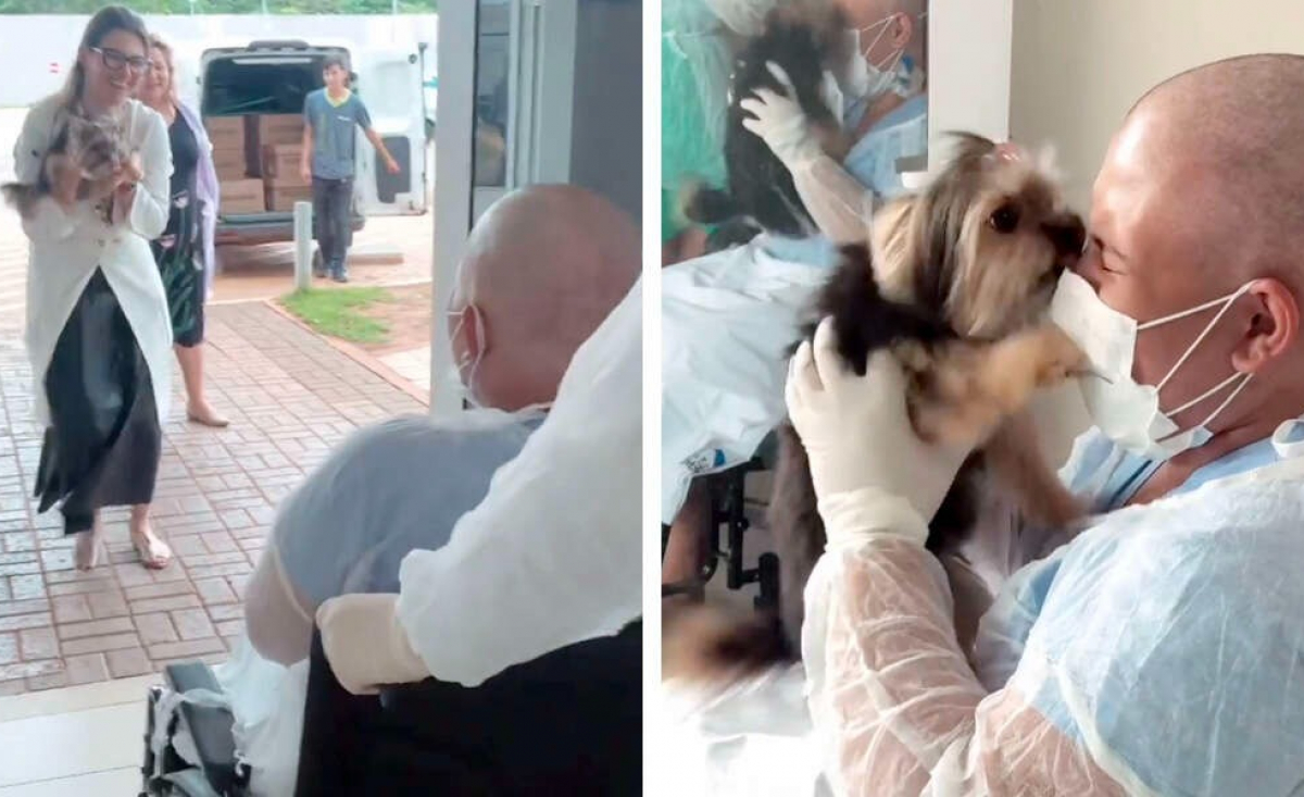 Illustration : "Séparée de sa chienne bien-aimée depuis un mois, cette patiente atteinte d'un cancer reçoit la plus merveilleuse des visites (vidéo)"