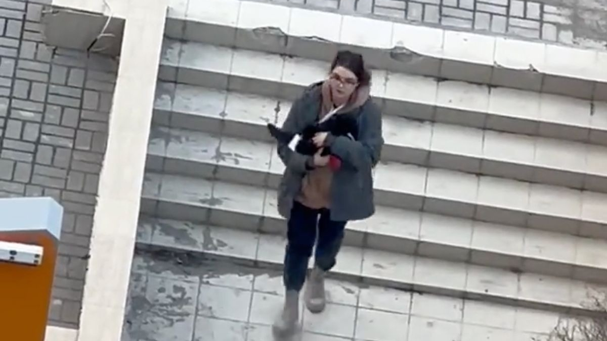 Illustration : "Ukraine : une jeune femme berce un chat dans ses bras pour l'apaiser, tandis que les sirènes de raid aérien retentissent (vidéo)"