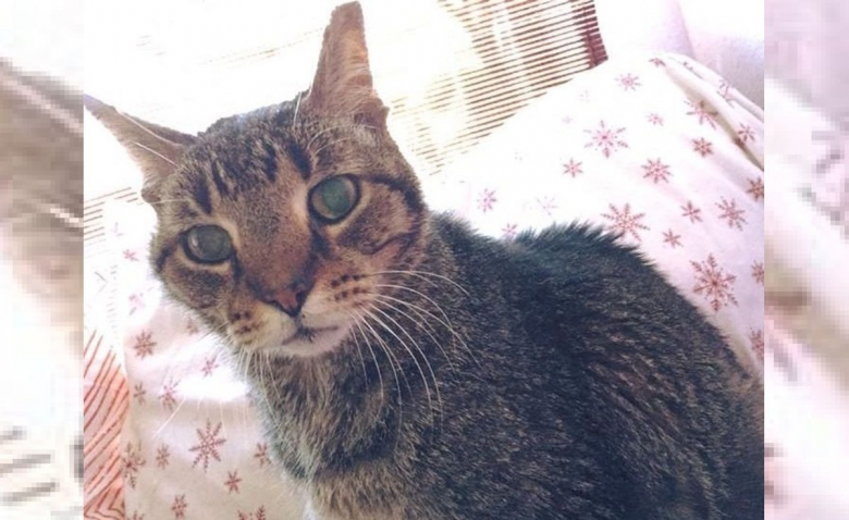 chat sexe saint leu