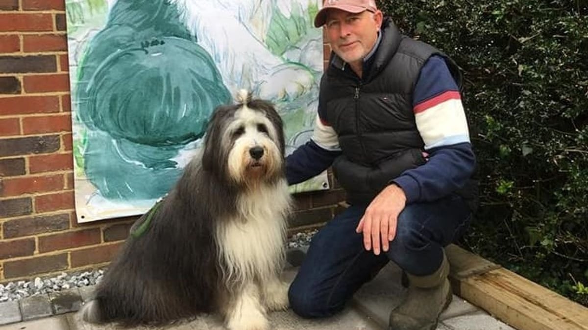 Illustration : "Un homme pris dans les affres du désespoir va de l'avant avec le soutien d'un Bearded Collie"