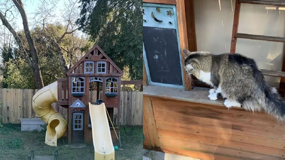 Illustration : "Un couple transforme la cabane de jeux de leurs enfants et en fait un enclos génial pour leur chat"