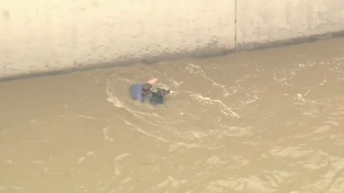 Illustration : "Un chien et sa maîtresse échappent à la noyade après avoir passé plus de 2 heures dans les courants d'une rivière de Los Angeles"