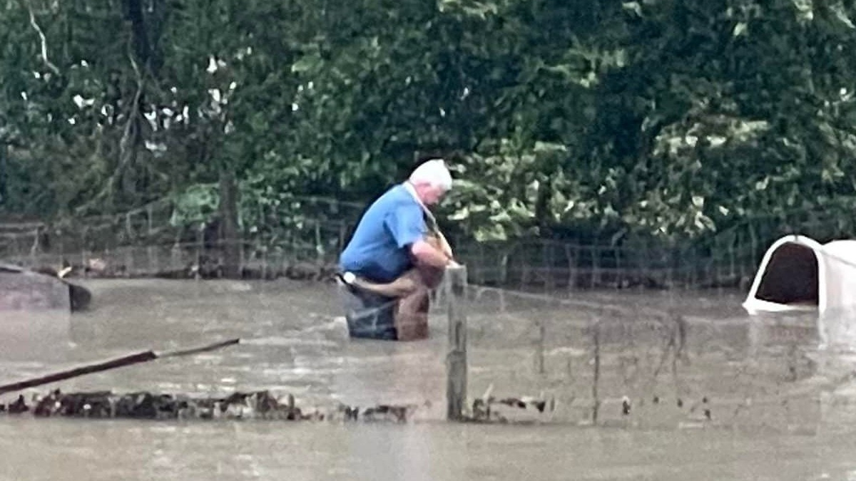 Illustration : "L'altruisme d'un directeur de refuge qui met en sécurité un chien attaché dans un jardin lors d'une inondation"