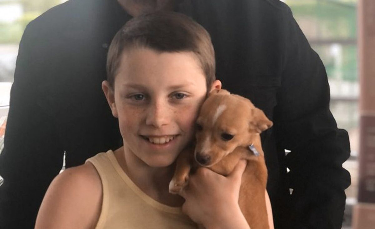 Illustration : "Le fils de 11 ans de John Travolta adopte un chiot et rend hommage à Betty White, l'actrice disparue en décembre"