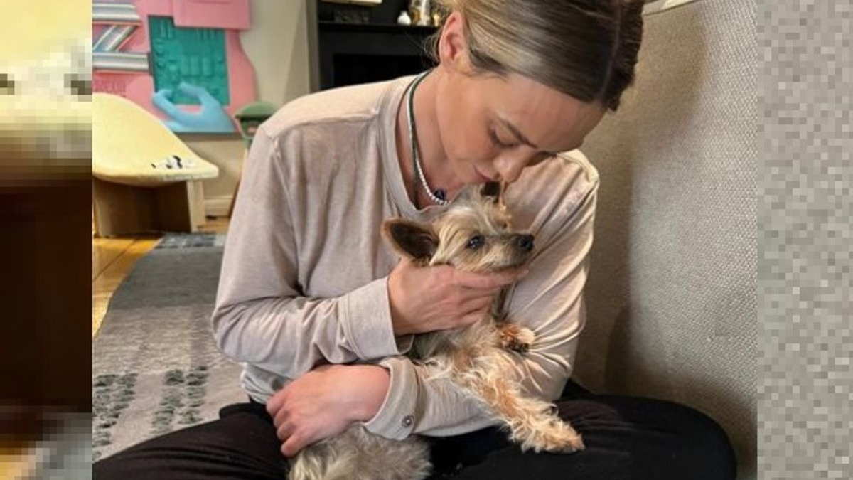 Illustration : "L'actrice Hilary Duff partage son émotion après la perte de son chien "