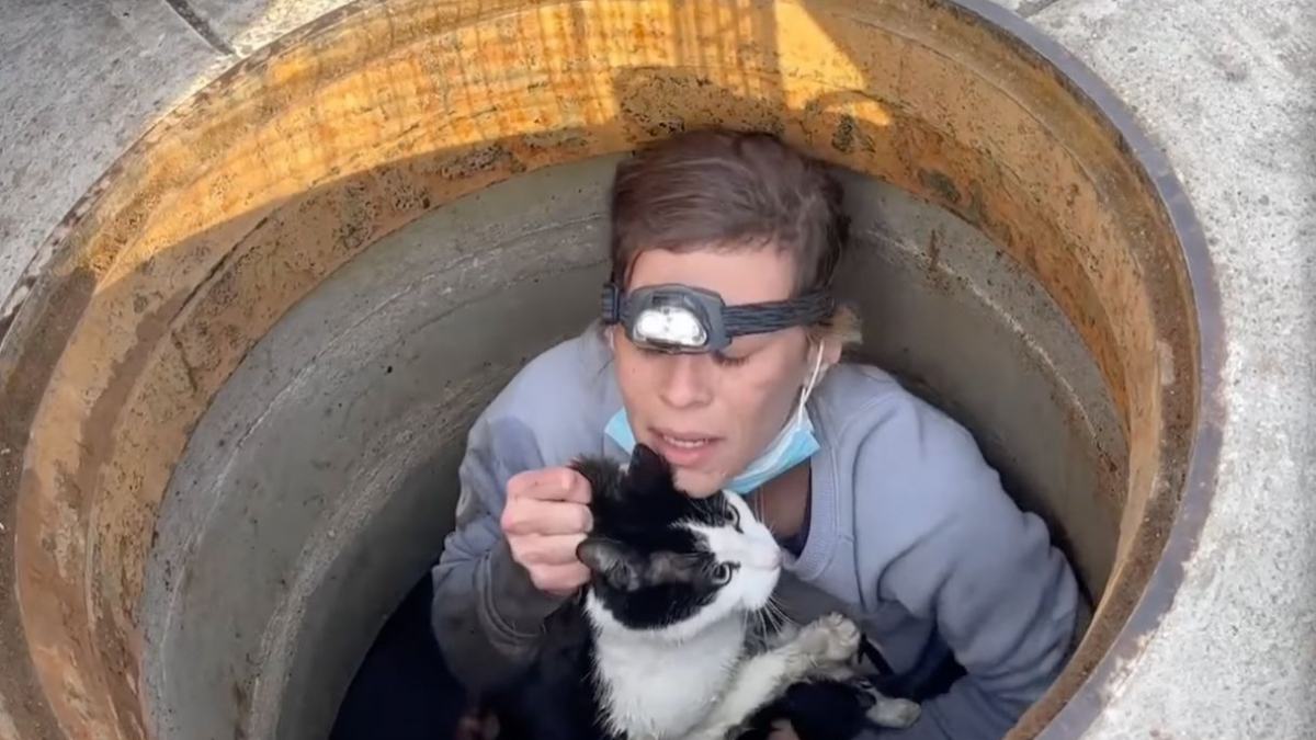 Illustration : "Une toiletteuse rampe pendant 20 minutes dans un tuyau d'égout pestilentiel pour sauver un chat disparu (vidéo)"