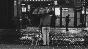 Illustration : 6 conseils pour réussir les balades sous la pluie avec son chien