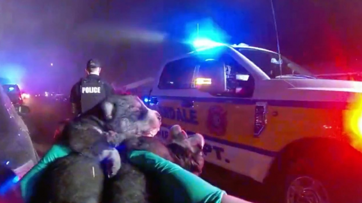Illustration : "La vidéo sensationnelle d'un policier sauvant 7 chiots d'un garage en feu"