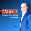 Illustration : Une nouvelle &eacute;mission digitale consacr&eacute;e aux animaux est n&eacute;e : #JMLesAnimaux est &agrave; d&eacute;couvrir sur le site de CNews