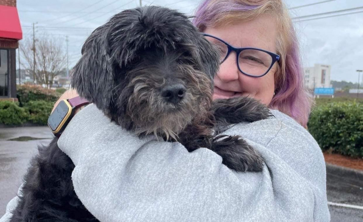 Illustration : "Une inconnue prête à faire plus de 500 km pour réunir un chien disparu avec sa maîtresse handicapée"