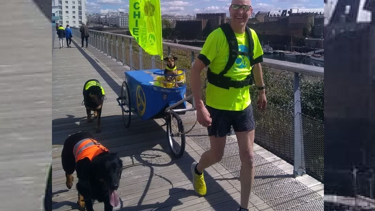 Illustration : "Un homme handicapé de 56 ans se lance dans un défi : courir 600 km avec ses 3 chiens en faveur d'une association canine"