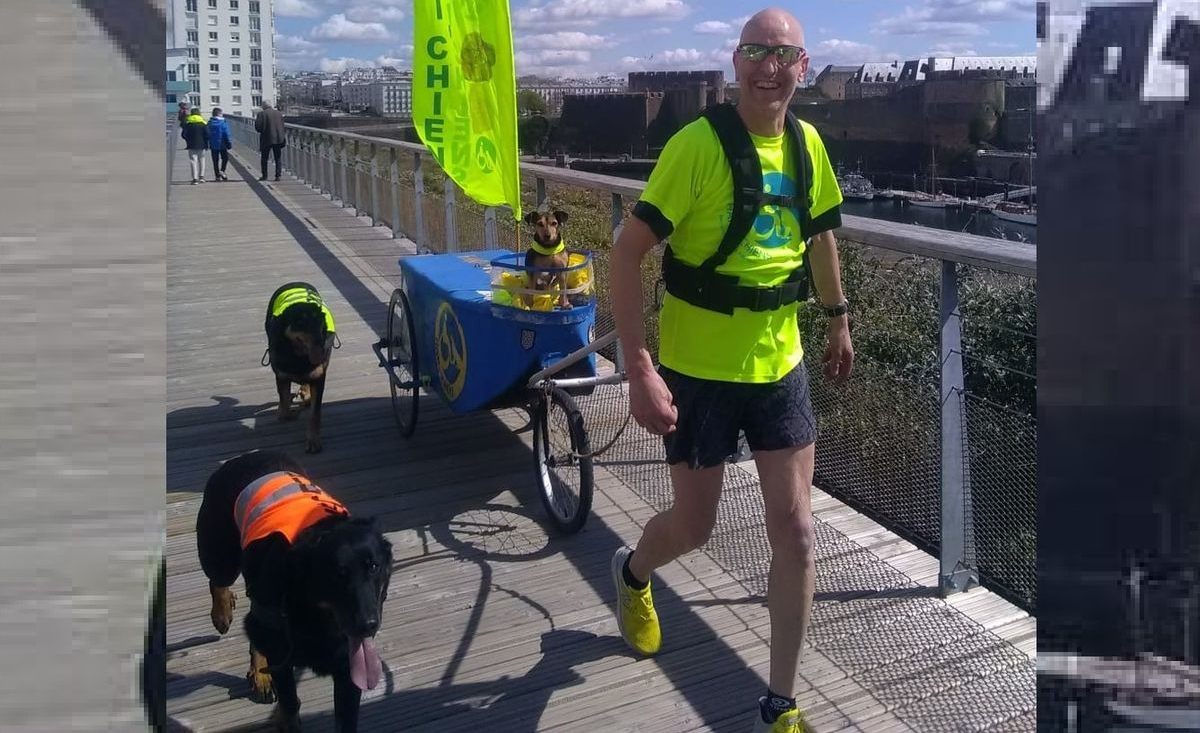 Illustration : "Un homme handicapé de 56 ans se lance dans un défi : courir 600 km avec ses 3 chiens en faveur d'une association canine"