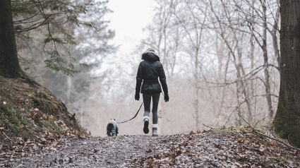 Illustration : Montpellier 2e et Grenoble 3e : quelle est la ville la plus "dog friendly" de France ?