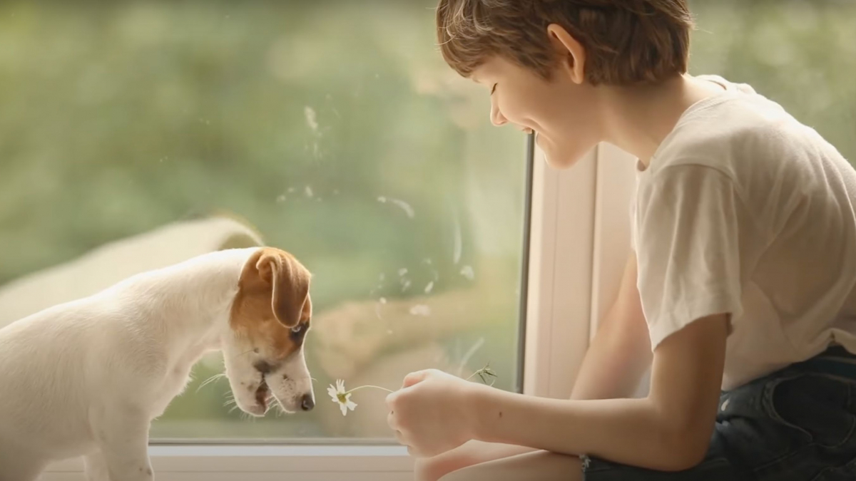 Illustration : "Ceva Santé Animale vous invite à un « Retour aux sources » émouvant pour découvrir la relation unique entre l'Homme et le chien ! (Vidéo)"