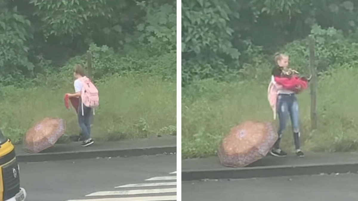 Illustration : "Une jeune fille est considérée comme un ange après avoir secouru un chien errant et blessé (vidéo)"