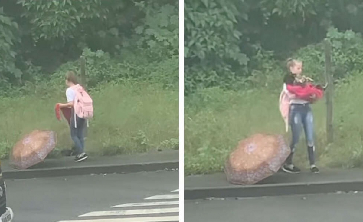 Illustration : "Une jeune fille est considérée comme un ange après avoir secouru un chien errant et blessé (vidéo)"