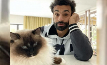 Drawing : "Football star Mohamed Salah, cat lover, delivers a poignant message on animal rights (video)"