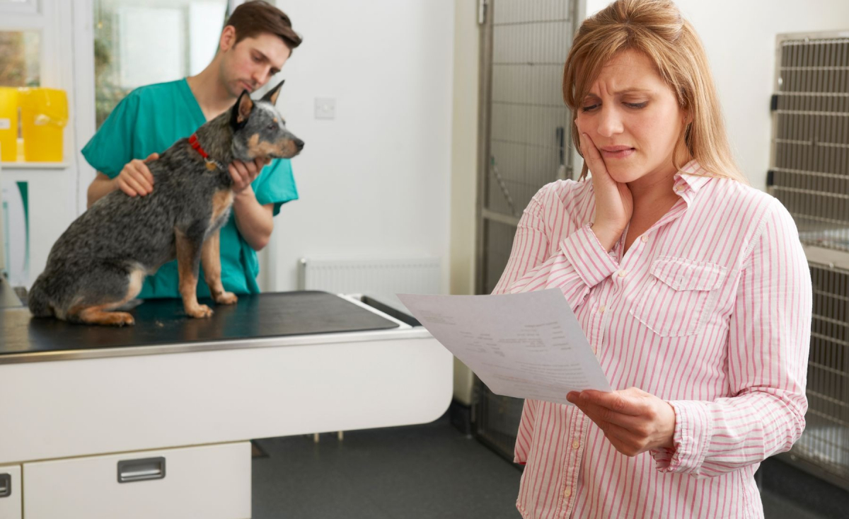 Illustration : "Ne pas souscrire une assurance santé pour son chien. Quels risques ?"
