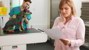 Illustration : Ne pas souscrire une assurance santé pour son chien. Quels risques ?